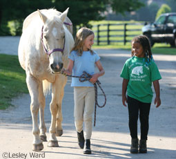kids at the barn
