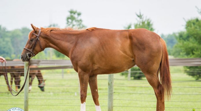 kyphosis alex tempest