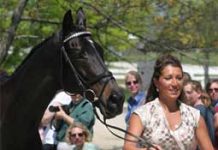 Early Reports Show Rolex Accident Was an Error laine baggins