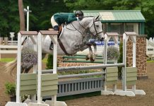 lainie wimberly briljant