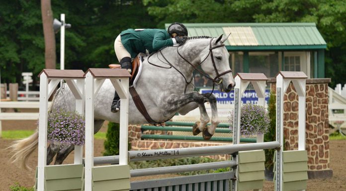 lainie wimberly briljant