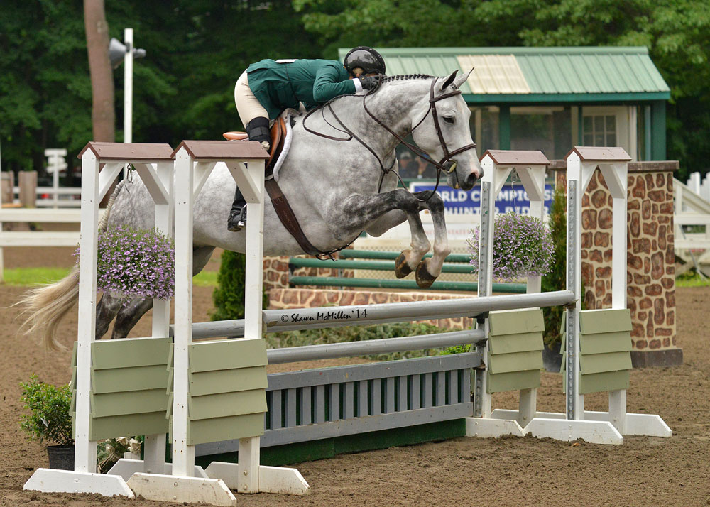 What You Need to Know about Showing Hunters