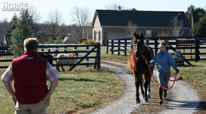 lameness exam winter