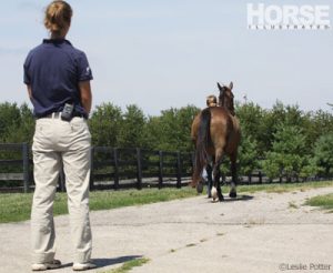 Managing Mystery Lameness
