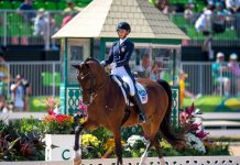 laura graves and verdades roi fei