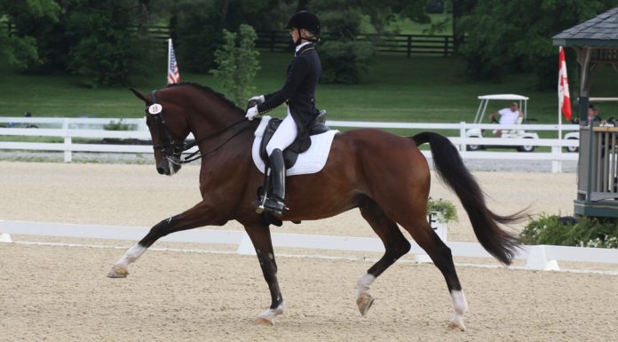 laura graves and verdades