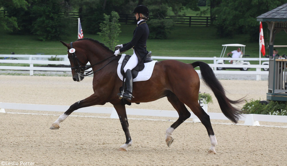 Meet the 2016 U.S. Olympic Dressage Team