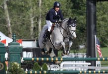 Do Horses Enjoy Jumping? laura kraut cedric