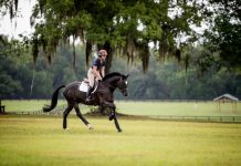 lauren kieffer land rover