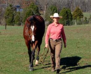 The Laws of the Lead Rope