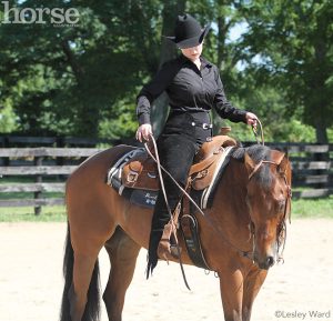 Motivating the Unmotivated Horse