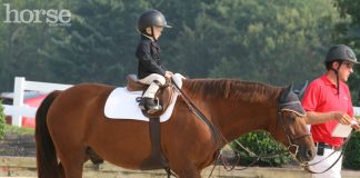 Why I Love Judging Leadline leadline class