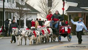 A Horse-Powered Parade Ignites the Holiday Spirit