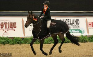 United States Equestrian Federation announces award winners for 2013