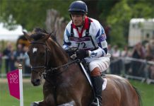 Olympic eventer Lionheart euthanized due to colic complications lionheart wfp