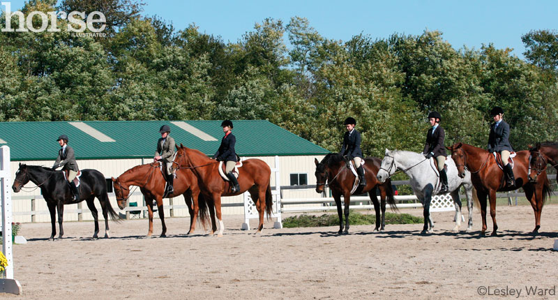 Horse show line-up; hot weather riding