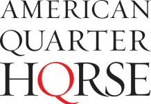 american quarter horse association