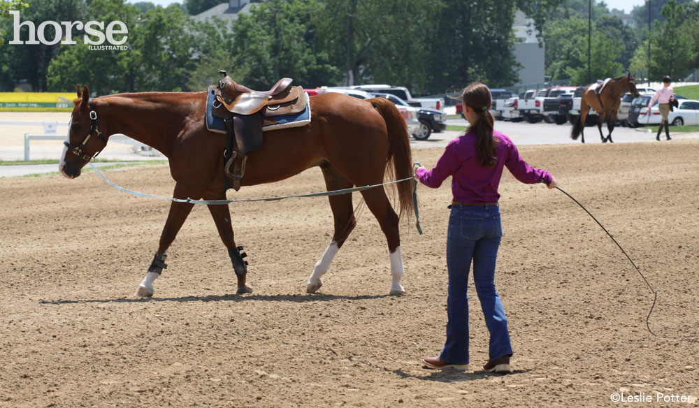 Longeing a horse