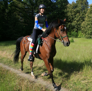 Your Horse Life: The Horse with One Speed