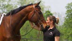 40  Ways to Show Your Horse You Love Him