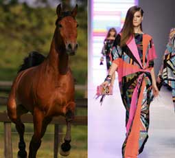lusitano fashion