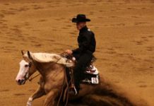 BreyerFest is under way at the Kentucky Horse Park lyle lovett
