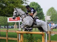 horse jumping