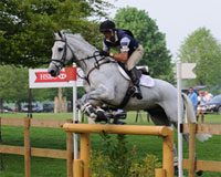 horse jumping