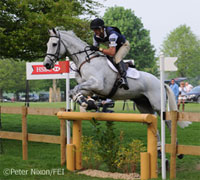 horse jumping