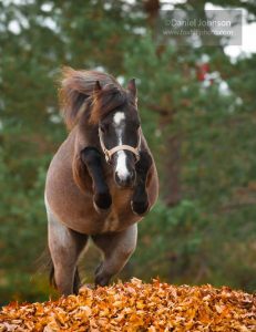 Don’t Leave the Dragon Behind