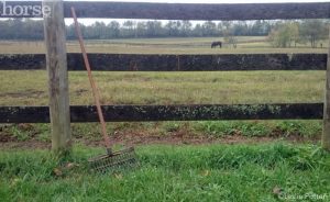 An Ode to the Majestic Manure Fork