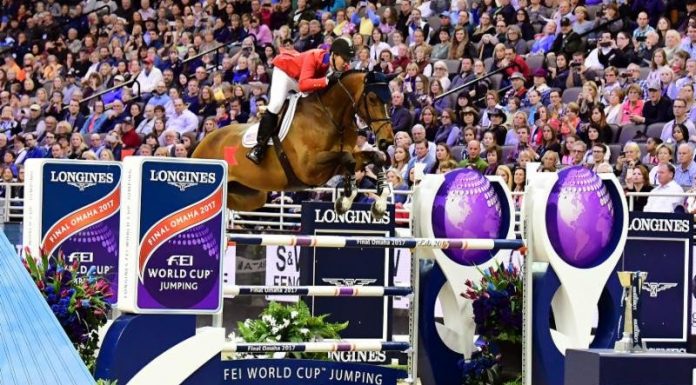 mclain ward world cup