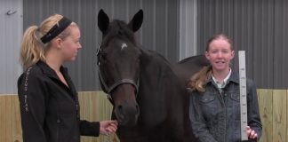 Video: How to Measure a Horse’s Height measure horse video