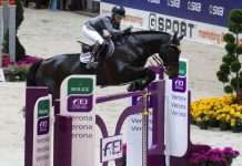 meredith michaels beerbaum verona