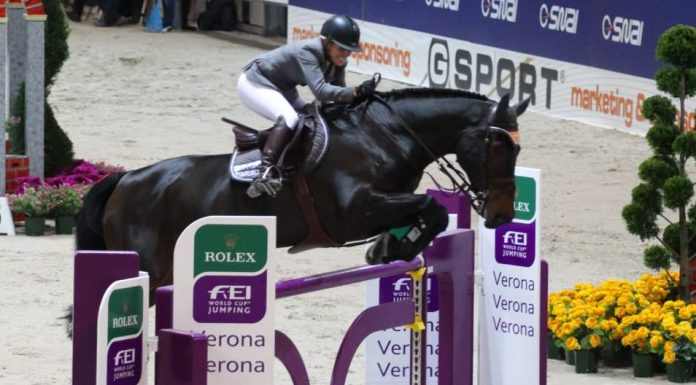 meredith michaels beerbaum verona