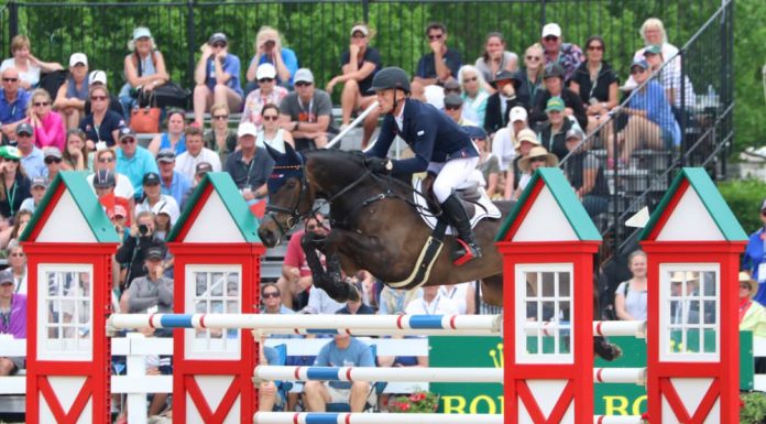 michael jung fischerrocana sj