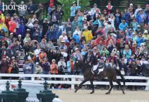 michael jung victory