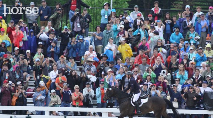 michael jung victory