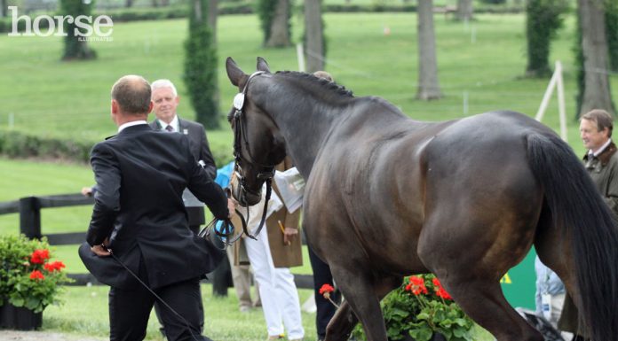 michael jung fischerrocana