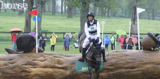 michael jung fischerrocana