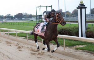 Kentucky Derby winner