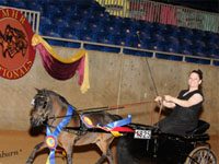 Watch the American Miniature Horse Registry National Show live online mini champion