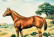 Equine Artist Orren Mixer Dies at 87 mixer painting