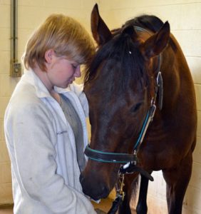 Behind the Scenes at the Maker’s Mark Secretariat Center: How You Can Help