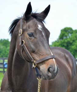 Springtime at Maker’s Mark Secretariat Center