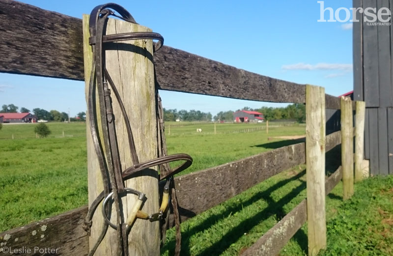 Tack cleaning/oiling The Horse Forum