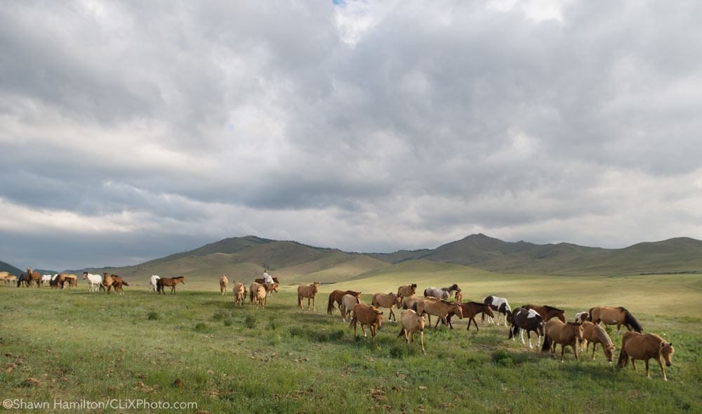 A Horseback Trek in Mongolia