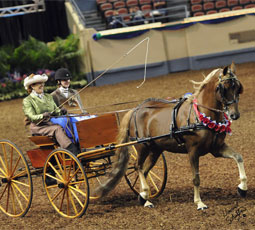 morgan grand national