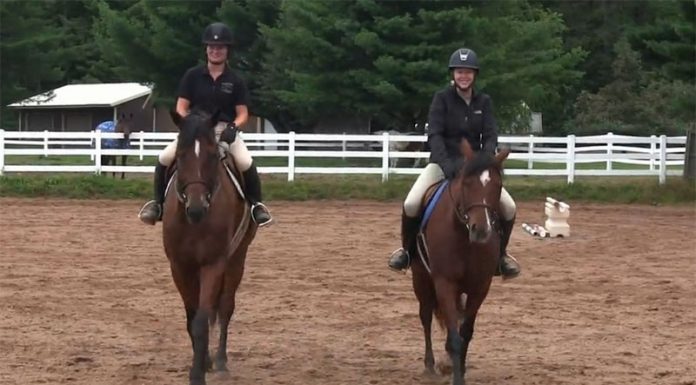 mount suitability vid