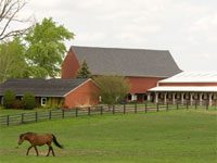 horse pasture